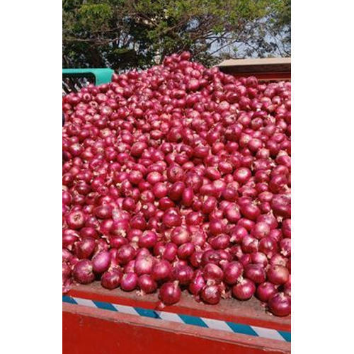 Organic Fresh Red Onions