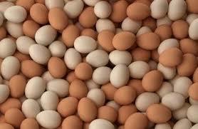 Fresh White And Brown Chicken Eggs