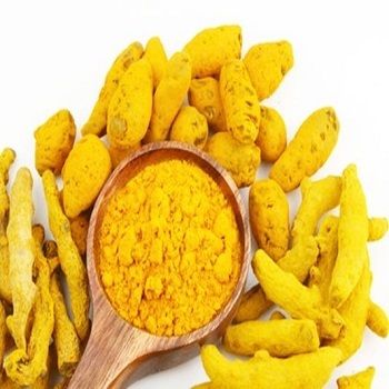 Top Grade 100% Fresh Turmeric Fingers