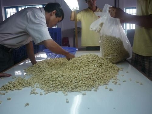 Raw Cashew Nuts DW