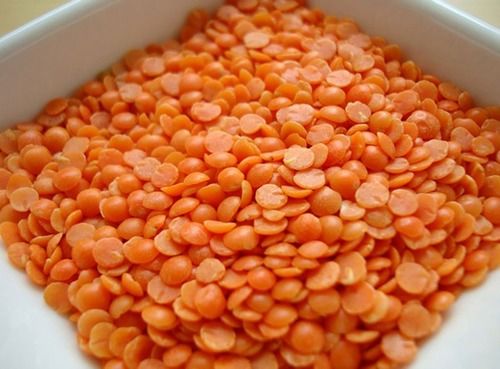 Whole High Grade Masoor Dal