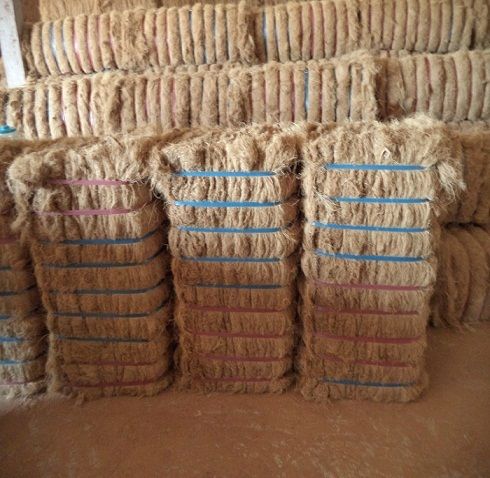 coconut coir fiber