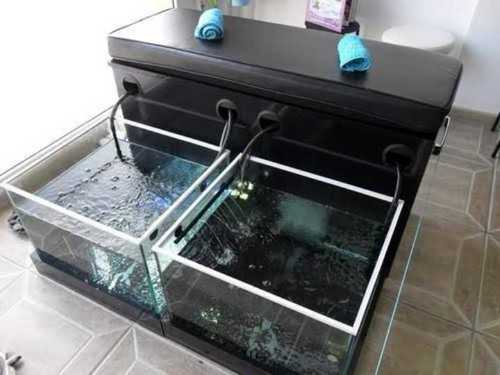 Furniture Accessories Fancy Fish Spa Setup