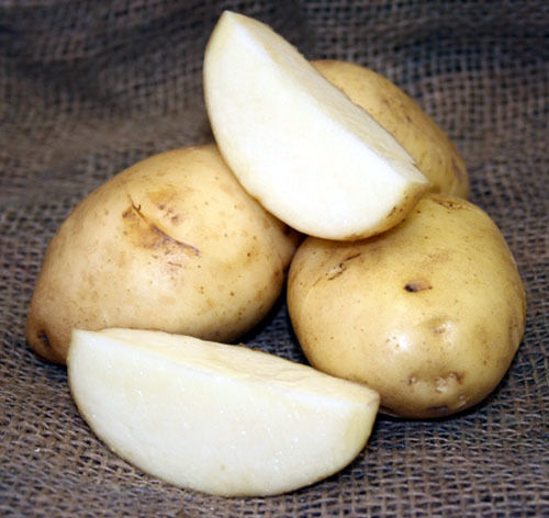 Kennebec Common Fresh Potatoes
