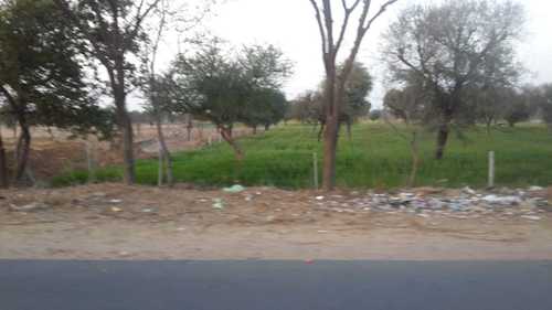 Agriculture Land Near Khatushyam Ji Rajasthan By Marwar Properties