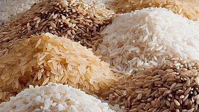 Brown Fresh Natural Raw Rice