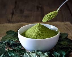 Green Tea Extract