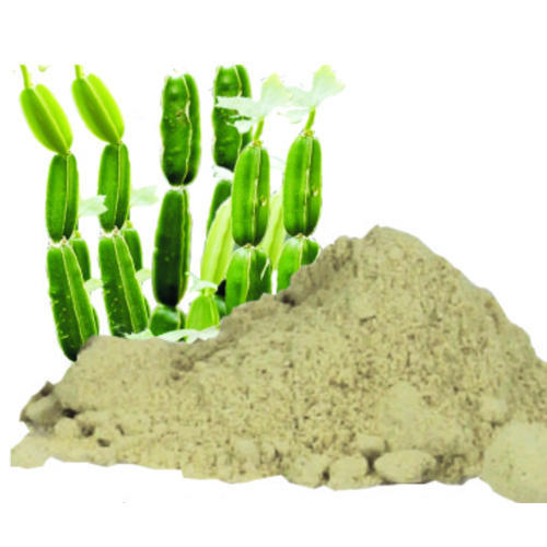 Pure Herbal Cissus Extract
