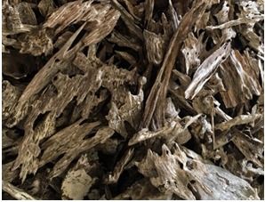 Smell Good Wild Ant Agarwood Chips