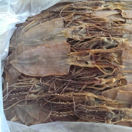 Dried Squid