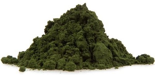 Fine Processed Spirulina Algae Powder