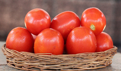 Farm Fresh Red Tomato