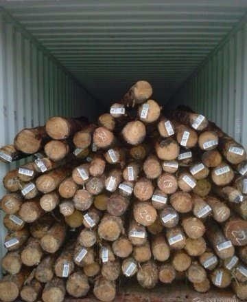 Pine And Hard Wood Logs