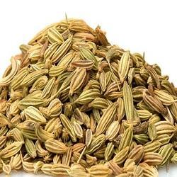 Longer Shelf Life Fennel Seed