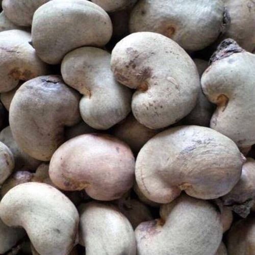 Common Raw Cashew Nuts