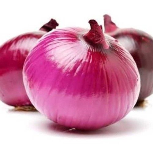 Antibiotic Properties Red Onion
