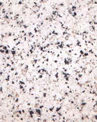 China White Color Granite