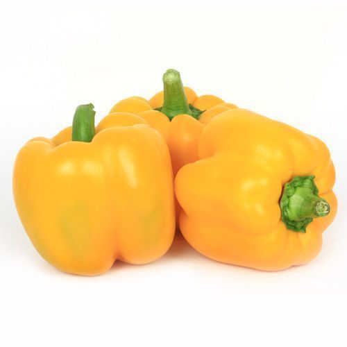 Round Delicious Taste Yellow Capsicum