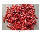 Dried Sannam Red Chilli