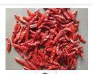 Dried Sannam Red Chilli Grade: A-Grade