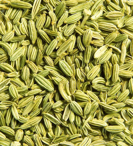 Natural Dried Fennel Seeds