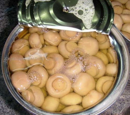 Fresh and Dried Canned Mushroom