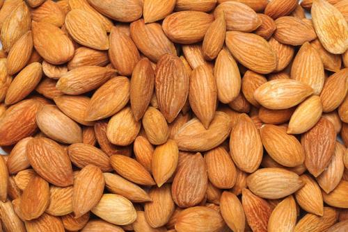 Fresh Organic Healthy Almond