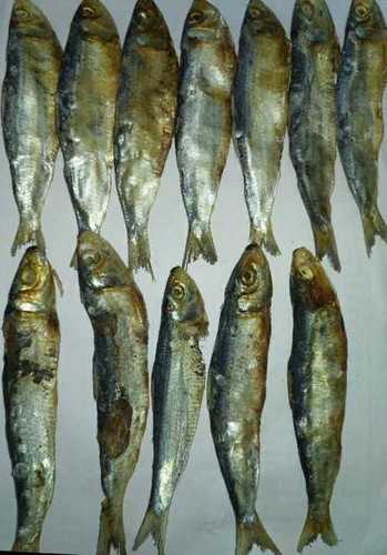 Medium Size Nutritional Dry Fish