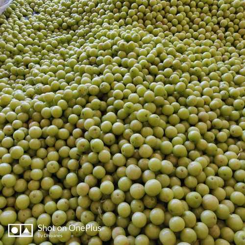 Natural Fresh Green Amla