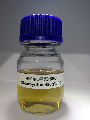 Chlorpyrifo Chemical Design Type: Hand Building