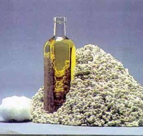 Crude Cotton Seed Oil