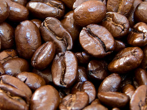 Rich Organic Arabica Coffee Beans