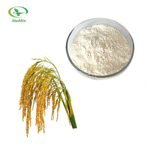 White 100% Natural Rice Bran Extract Ceramide 98%