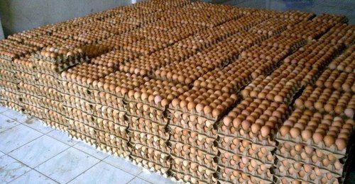 Fresh Desi Brown Eggs