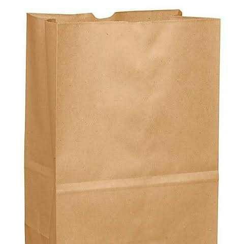 Paper Grocery Bag