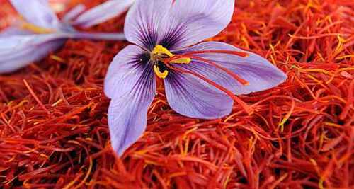 Unmatched Quality Iranian Saffron