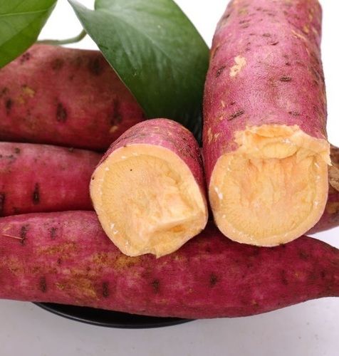 Delicious Sweet Red Potato