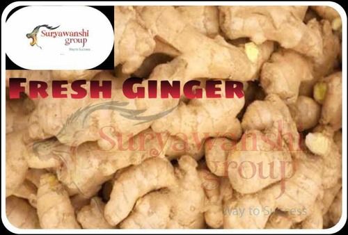 Farm Fresh Organic Ginger