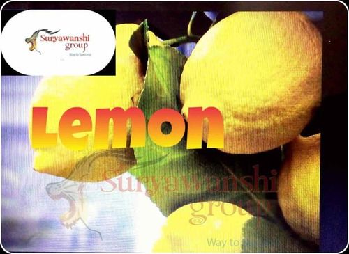 Farm Fresh Organic Lemon