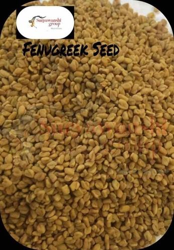 Fresh Fenugreek Seeds (Methi)