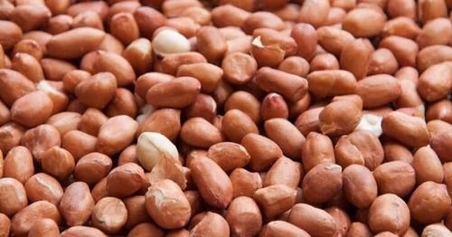 Fresh Peanuts For Nutrition