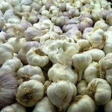 Fresh Garlic By EGPKING ENTERPRISE