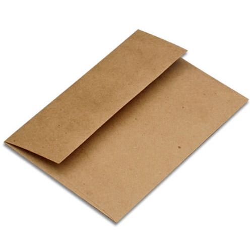 Plain Brown Paper Envelope