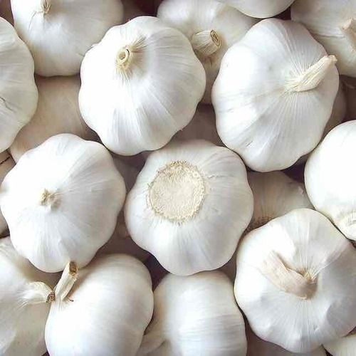 Farm Fresh White Garlic