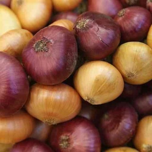 Durable Fresh Red And White Thai Onion