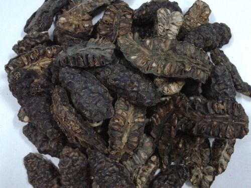 Black Quality Tested Dried Noni