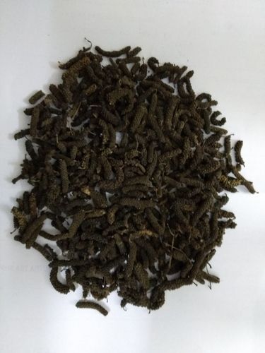 Black Color Organic Pepper Long