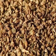 Celery Seed