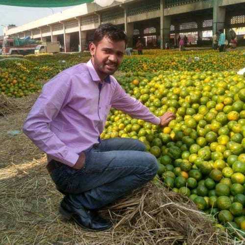 Fresh Juice Nutritional Orange Application: Industrial And Laboratory