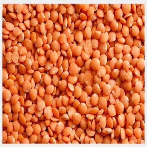 High Quality Red Lentils